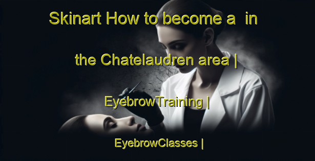 Skinart How to become a  in the Chatelaudren area | EyebrowTraining | EyebrowClasses | SkinartTraining-France